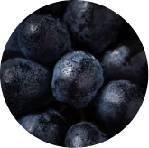 Grape seed extract rutin and quercetin VisiFlora ingredient image