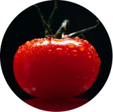 Lycopene carotenoid VisiFlora ingredient image