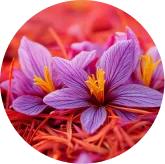 Saffron extract VisiFlora ingredient image